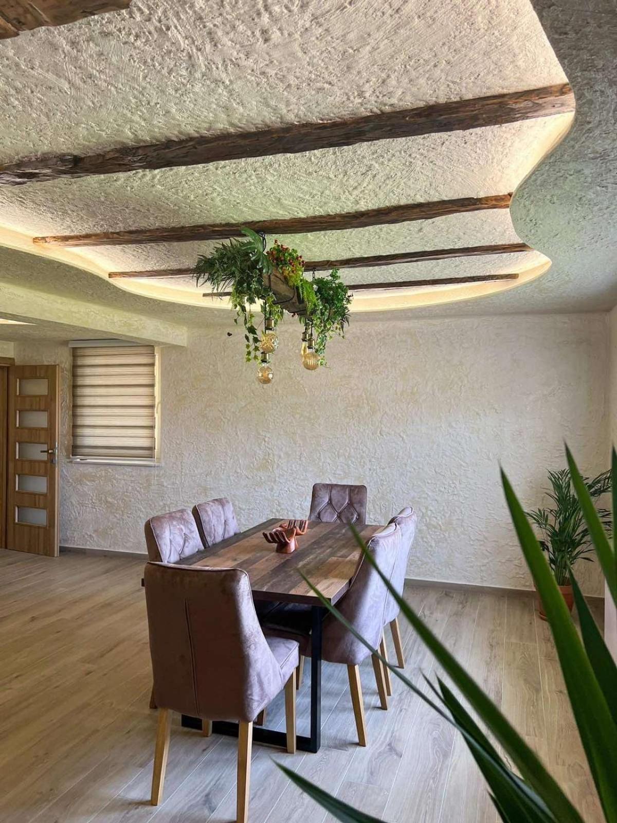 Motel Pizzeria Actros Nova Topola Dış mekan fotoğraf